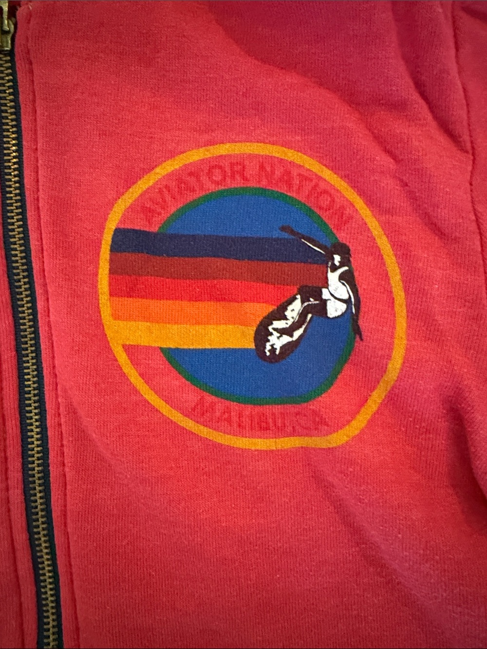 Aviator nation Zip-Up Hoodie with Colorful Badge - Picture 4 of 7